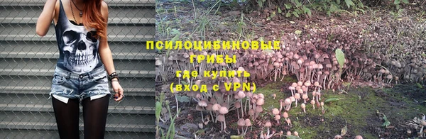 а пвп мука Сатка